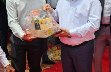 Amul_Parlour2