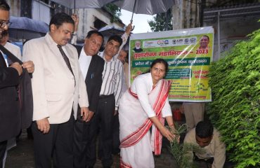 Plantation on 05.06.2023 by Hon'ble District Judge.