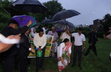 Plantation on 05.06.2023 by Hon'ble District Judge.