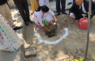 Plantation on 05.06.2023 in District Court, Saharanpur by Hon'ble District Judge.