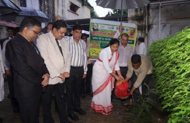 Plantation on 05.06.2023 by Hon'ble District Judge.