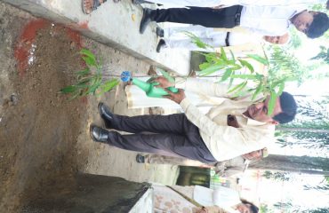 Plantation On 15th of August