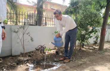 Giving water on World Environment Day