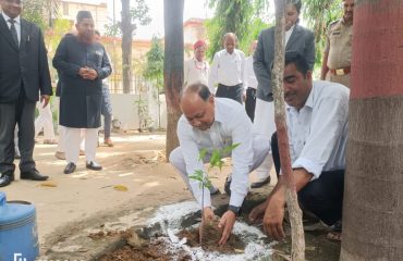 Plantation on 5th June on World Environment Day by President of BAR (2)