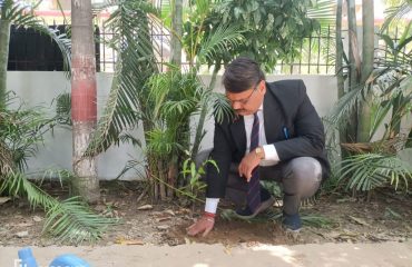 Plantation on 5th June on World Environment Day by ADJ 3 (3)