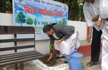 Plantation on 5th June on World Environment Day by District Judge