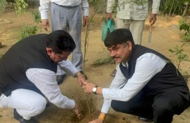 Plantation Drive6