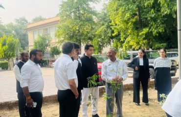 Plantation Drive2