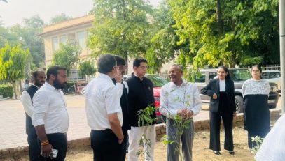 Plantation Drive2