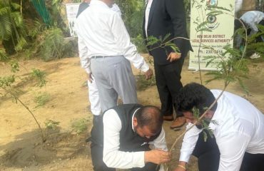 Plantation Drive8