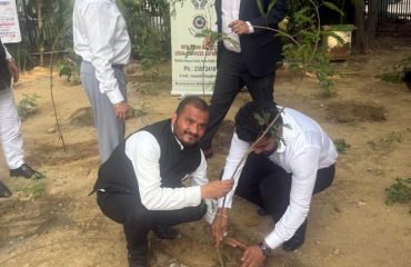 Plantation Drive7