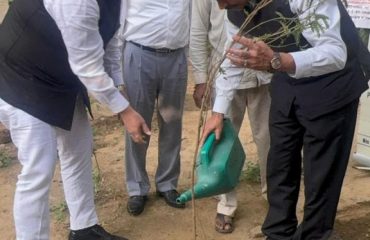 Plantation Drive5