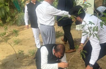 Plantation Drive9