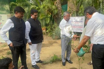 Plantation Drive1