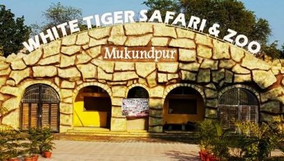 White Tiger Safari and Zoo