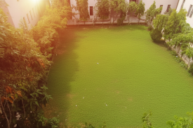Park