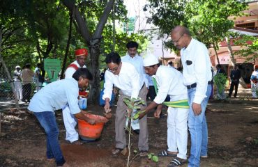 Plantation by Sri K.Gaddenna garu