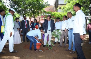 Plantation by Sri Y.V.Rama Krishna garu