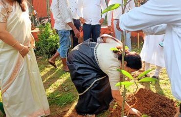tree plantation_2