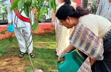 tree plantation_5