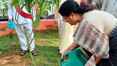 tree plantation_5