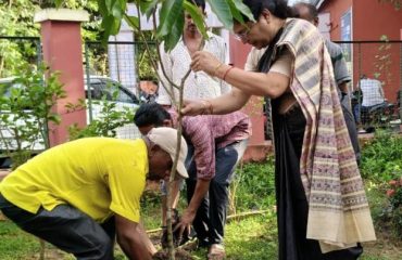 tree plantation_1