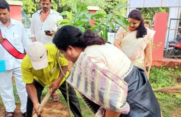 tree plantation_4