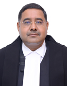 Mr. Justice N.S. Shekhawat