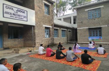 yoga day celebration arki