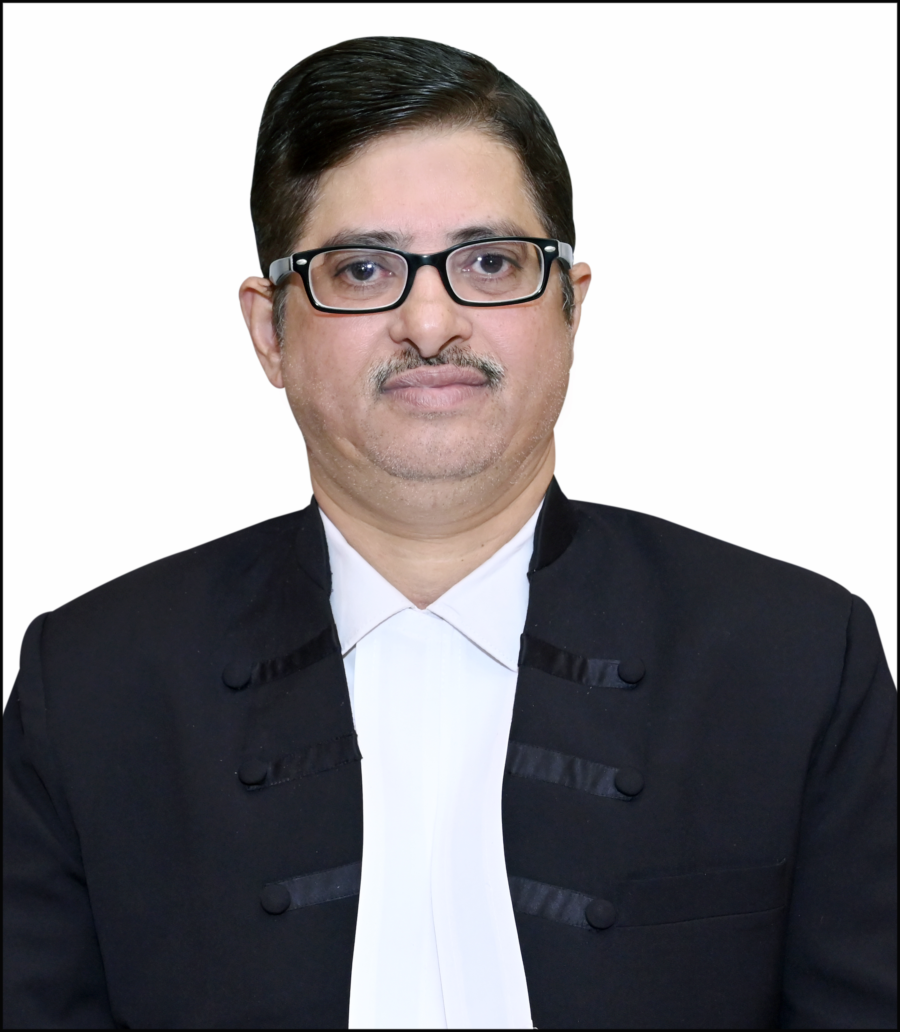 Hon'ble Portfolio Judge