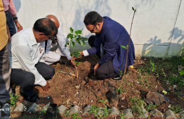 Tree Plantation in Chhuikhadan Court on NLA