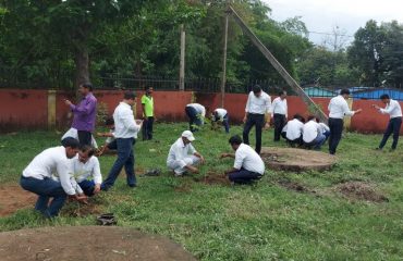 Van Mahotsava at District Court Complex Malkangiri