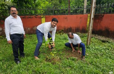 Van Mahotsava at District Court Complex