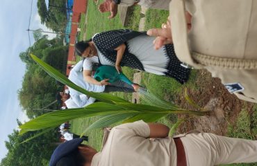 Van Mahotsava at District Court Complex Malkangiri