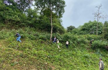 Social work Zunheboto District Court clearing of bushes.