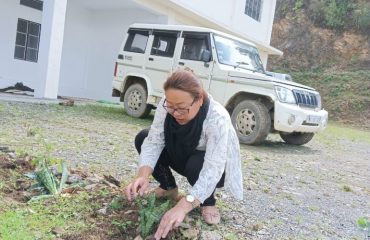 Smti. Easter H. Yepthomi Retainer lawyer, Zunheboto District Court flower plantation