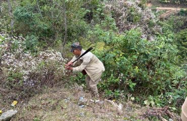 Zunheboto District Court Staff Social work cutting the bushes.