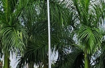 WhatsApp Image 2025-12-19 at 12.03.36 AM(2)