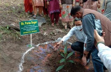 Plantation Programme