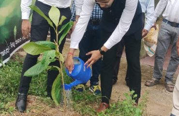 Van Mahotsava Week by DLSA 2026