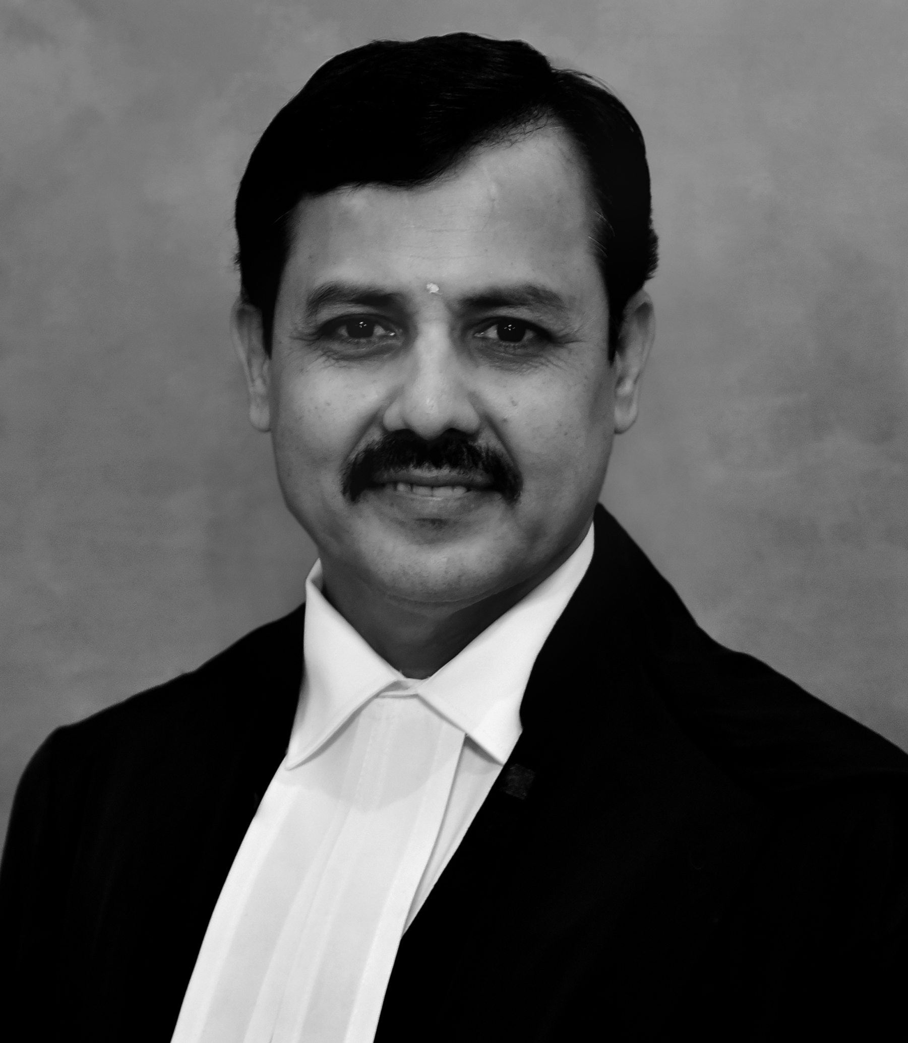 Justice Shri ABHAY J. MANTRI