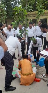 gardening at world Environment Day