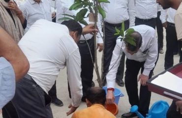 gardening at world Environment Day