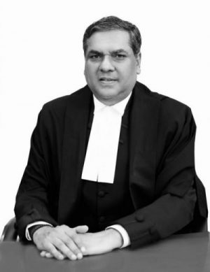 sci_cji