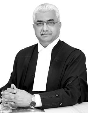 Chief Justice Judges Supreme Court of India India