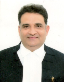 Honourable Mr.Justice Vivek Kumar Singh