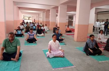 International Yoga Day celebrations