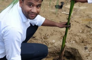 Plantation2019_8