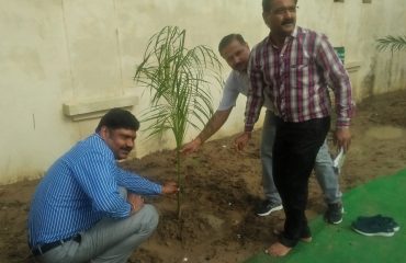 Plantation2017_8