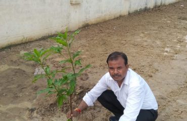 Plantation2019_22